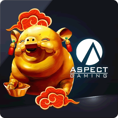 아스펙트 슬롯